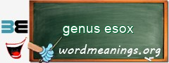 WordMeaning blackboard for genus esox